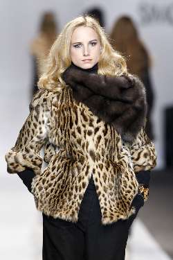 ocelot SimonettaRaviazza_015.jpg